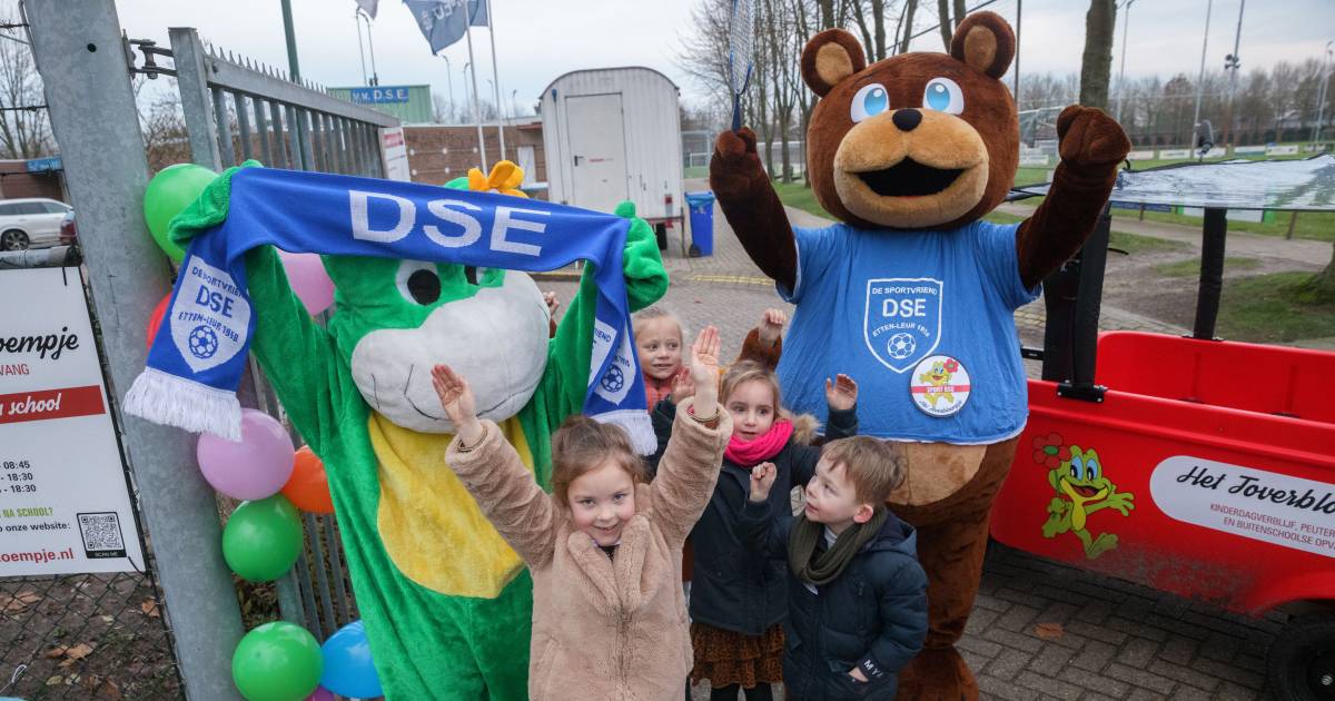 Voetbalvereniging DSE