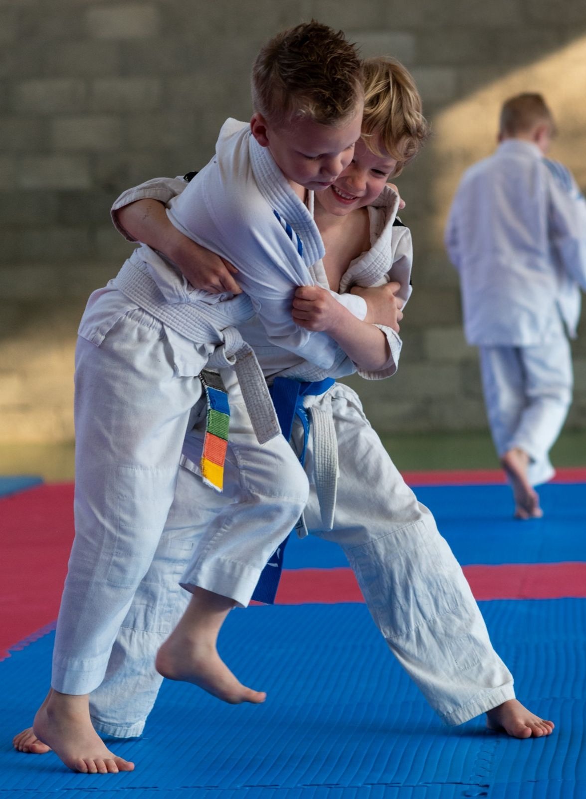 Martial Arts Training Institute