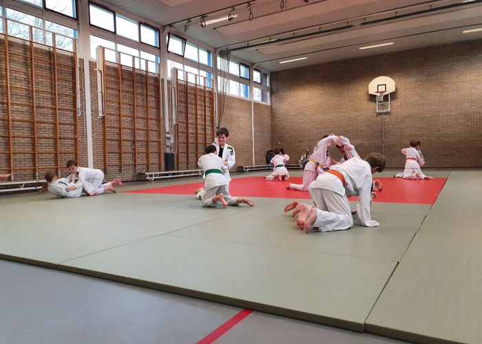 Judovereniging Baronie