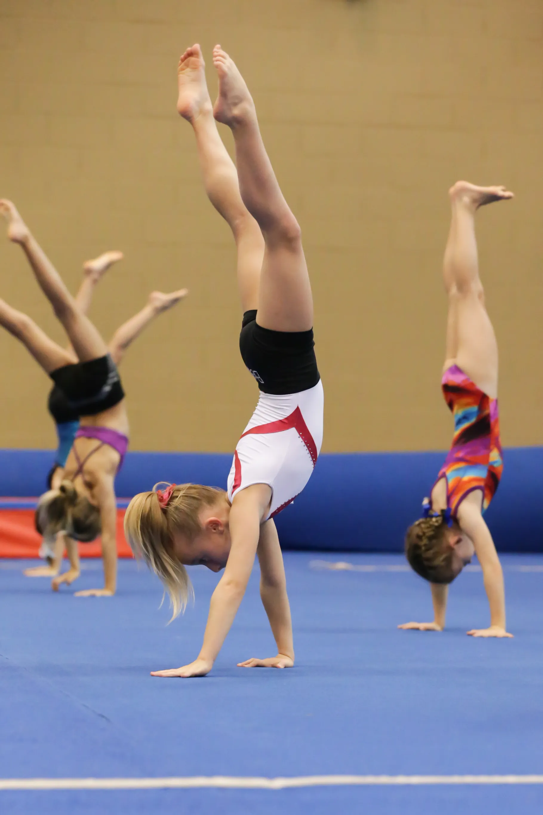 Sportvereniging DIO