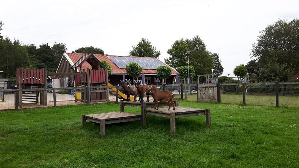 Kinderboerderij Parkhoeve