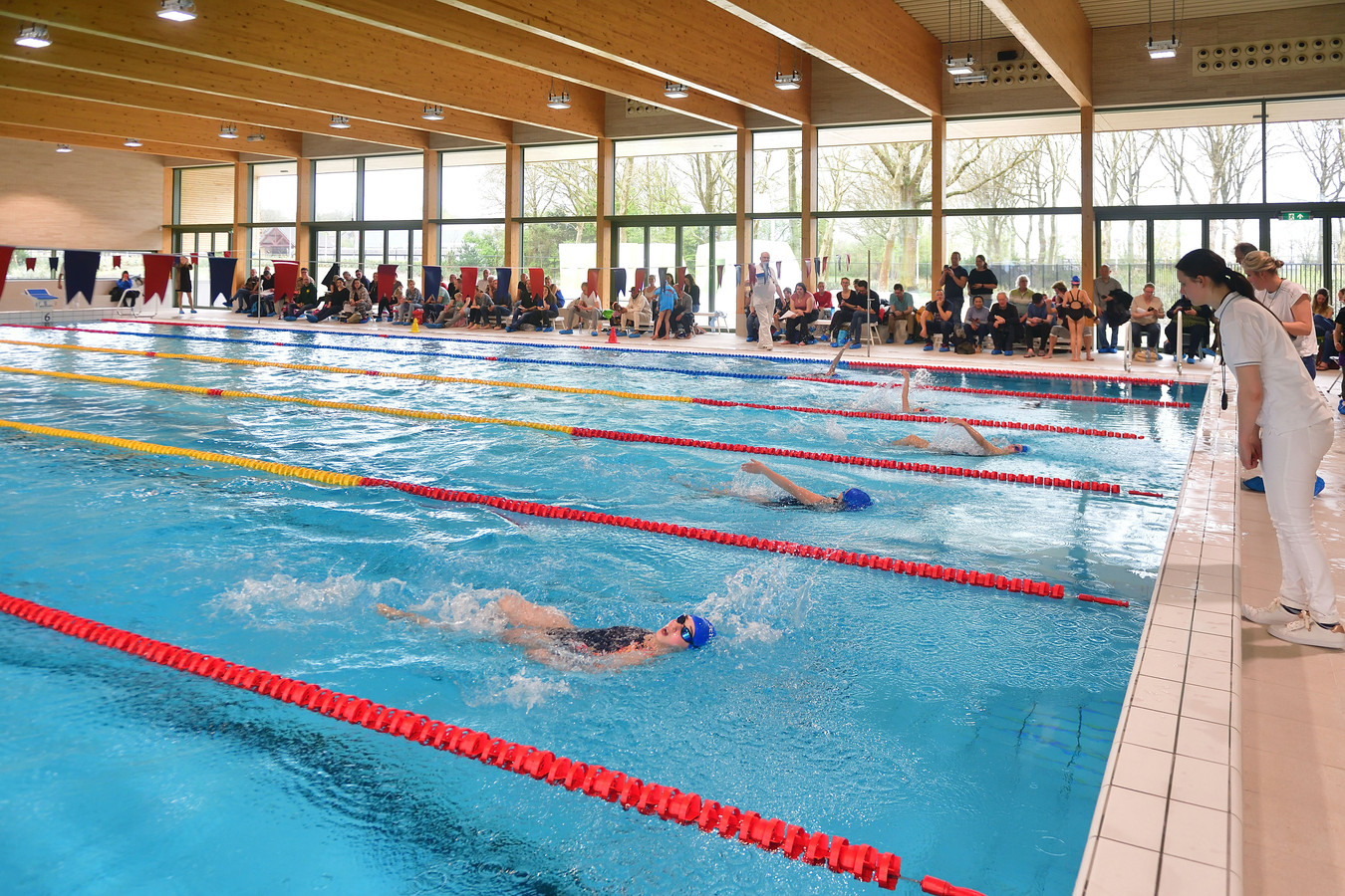 Zwemvereniging de Flippers