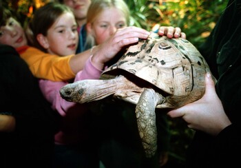 Dierenpark de Oliemeulen