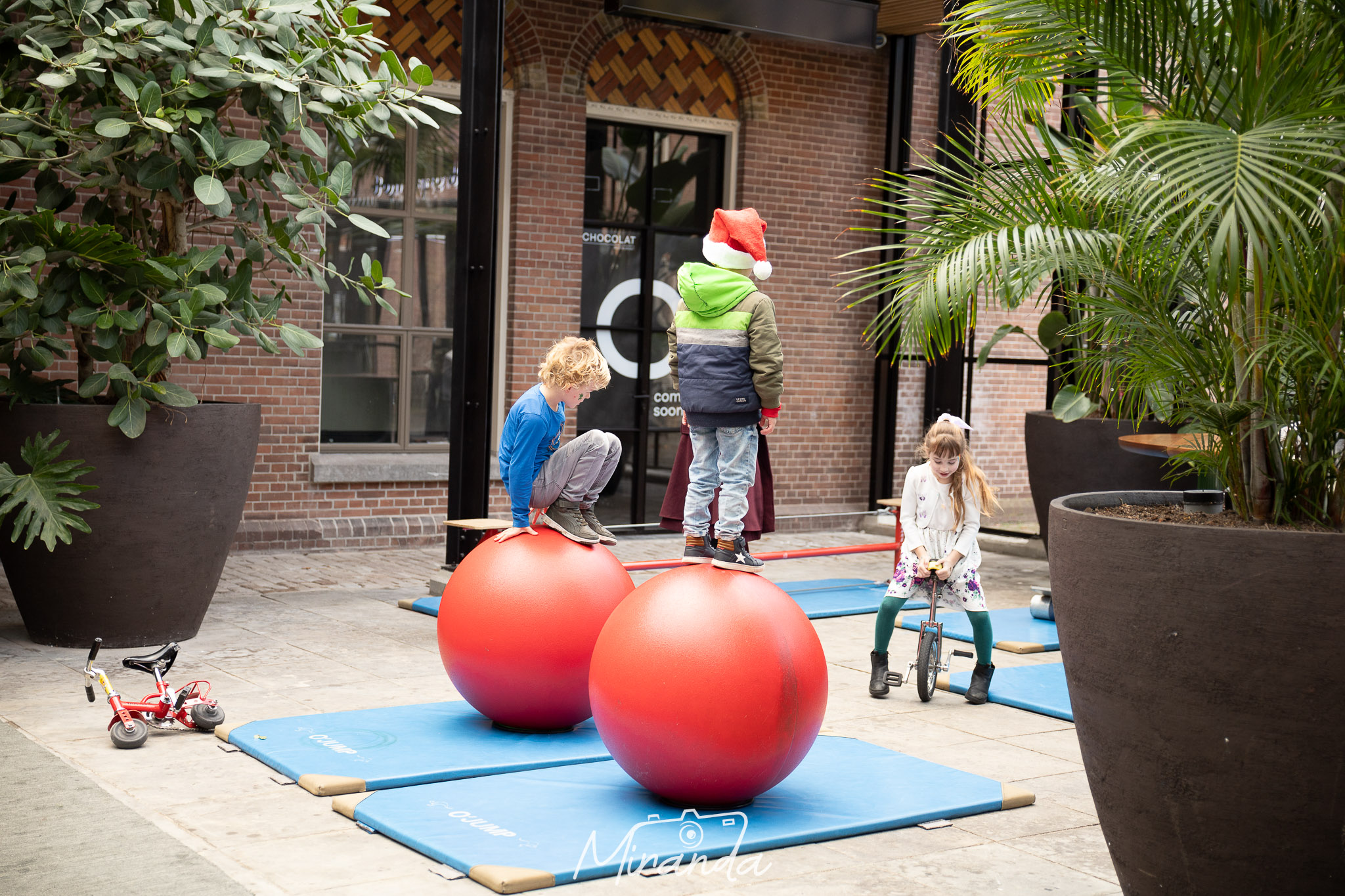 Jeugdcircus Don Bosco