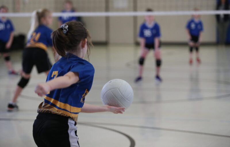 Volleybalvereniging de Burgst
