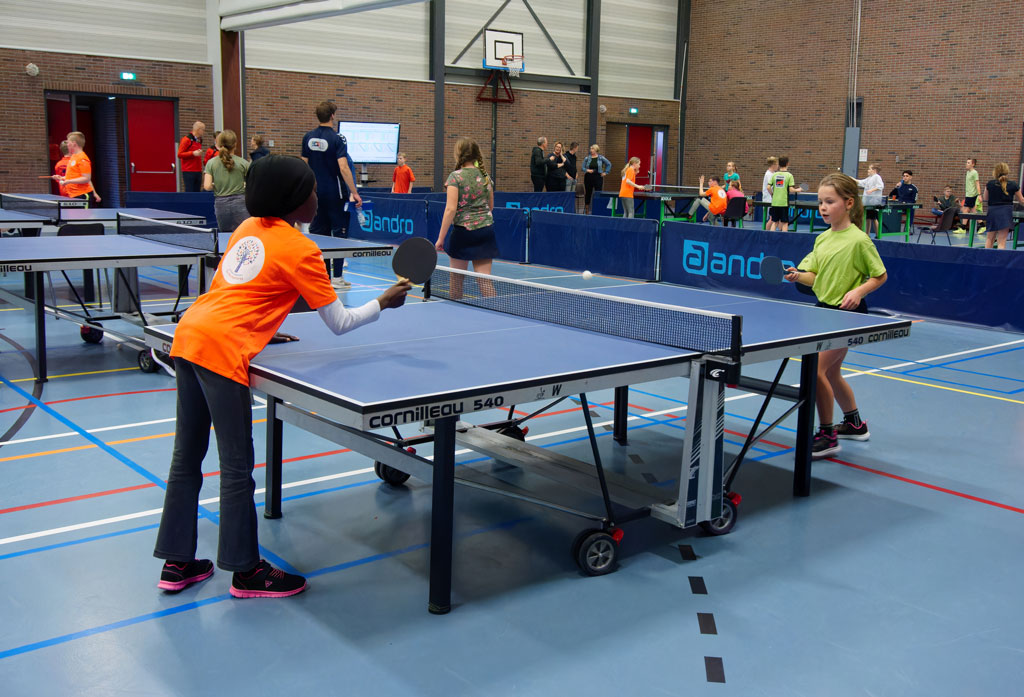 Tafeltennisvereniging Tanaka